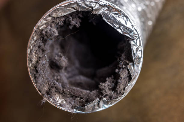 Best Best Air Duct Cleaning Company  in North Redington Beach, FL